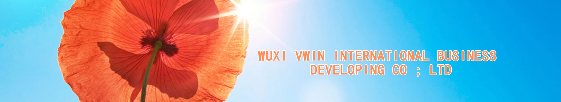 WUXI VWIN INTERNATIONAL BUSINESS DEVELOPING CO., LTD.
